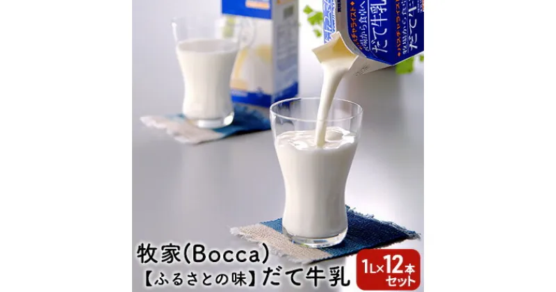 【ふるさと納税】牧家(Bocca)【ふるさとの味】だて牛乳1L×12本セット　飲料 北海道産 大容量