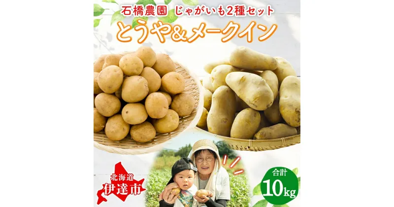 【ふるさと納税】 北海道 じゃがいも 2種 とうや メークイン 食べ比べ セット 各5kg 計10kg LM～2L サイズ 馬鈴薯 トウヤ メイクイーン ポテト イモ 根菜 農作物 産地直送　野菜・じゃがいも・セット・詰合せ・ジャガイモ・芋・セット　お届け：2024年9月上旬～11月下旬