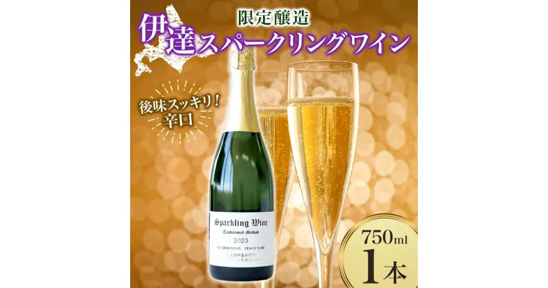 【ふるさと納税】北海道 伊達スパークリングワイン 750ml 1本 2023 年産 限定醸造 スパークリングワイン ワイン 葡萄 ぶどう ブドウ 醸造 ヴィンテージ 白ワイン お酒 酒 アルコール 発泡酒 シャルドネ ピノ・ノワール 晩酌