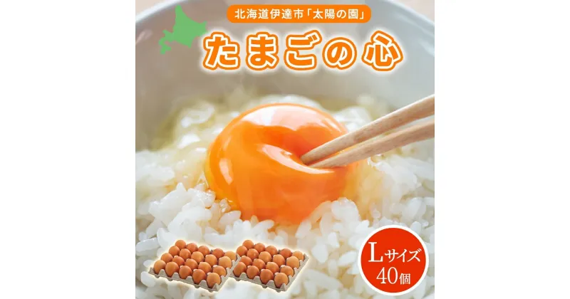 【ふるさと納税】北海道 たまごの心 40個 Lサイズ 太陽の園 平飼たまご 有精卵 たまご 卵 生たまご 鶏卵 北海道産 鶏の卵 ポリスブラウン 食材 卵かけごはん TKG オムレツ オムライス タンパク質 ゆで卵 よく使う食材 万能食材 【農福連携】