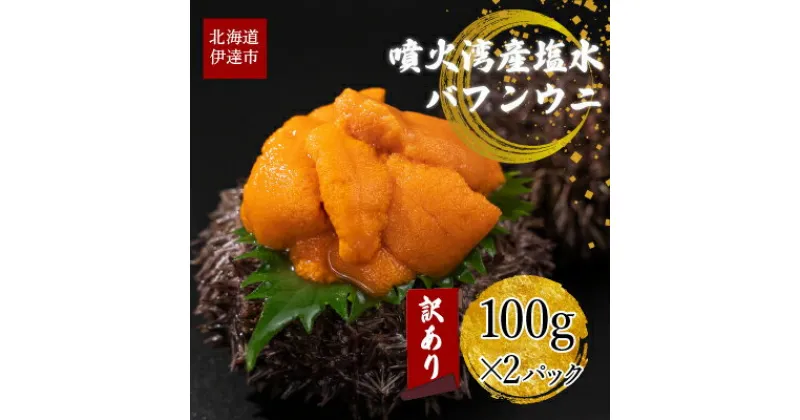 【ふるさと納税】訳あり 北海道 噴火湾産 塩水 バフンウニ 100g 2パック 計200g うに ウニ 雲丹 海鮮 海の幸 魚介類 ウニ丼 お寿司 濃厚 無添加 産地直送 お取り寄せ 山村水産 送料無料　 魚貝類 海産物 冷蔵 訳あり 濃厚 甘い 刺身 海鮮丼 国産 人気 美味しい