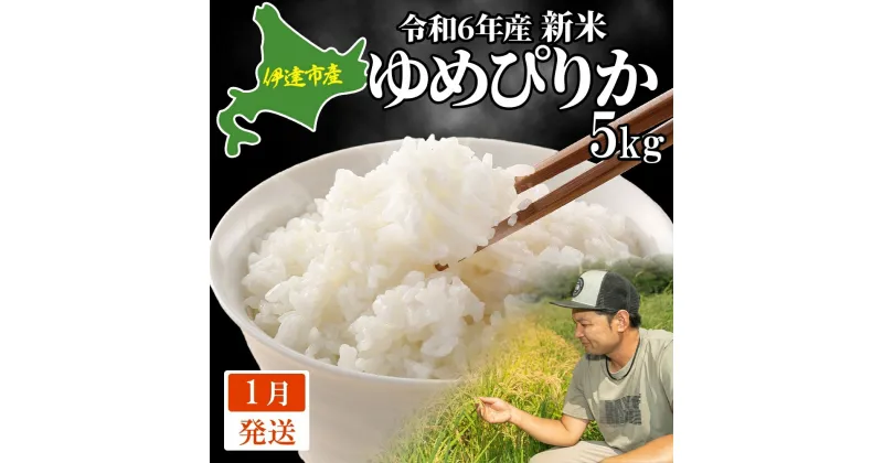 【ふるさと納税】【1月発送】令和6年産 ゆめぴりか 5kg 精米 北海道 伊達産 米 ごはん takke farm 農園 直送　 美味しい ねばり 甘味 艷やか モチモチ 柔らかい 　お届け：2025年1月中旬～末日まで