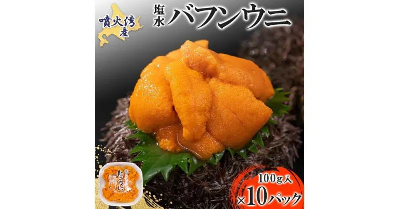 【ふるさと納税】北海道 噴火湾産 塩水 バフンウニ 100g 10パック 計1kg うに ウニ 雲丹 海鮮 海の幸 魚介類 ウニ丼 お寿司 濃厚 無添加 産地直送 お取り寄せ 山村水産 送料無料　魚貝類・加工食品・魚貝類・ウニ・雲丹