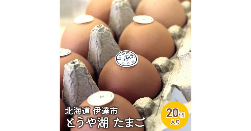 【ふるさと納税】北海道 伊達市 とうや 卵 20個 入り たまご　 鶏卵 食材 グルメ 食卓 エッグ 卵料理 卵かけごはん TKG 万能食材 ご飯のお供 朝食 朝ごはん 夜ごはん 夕飯