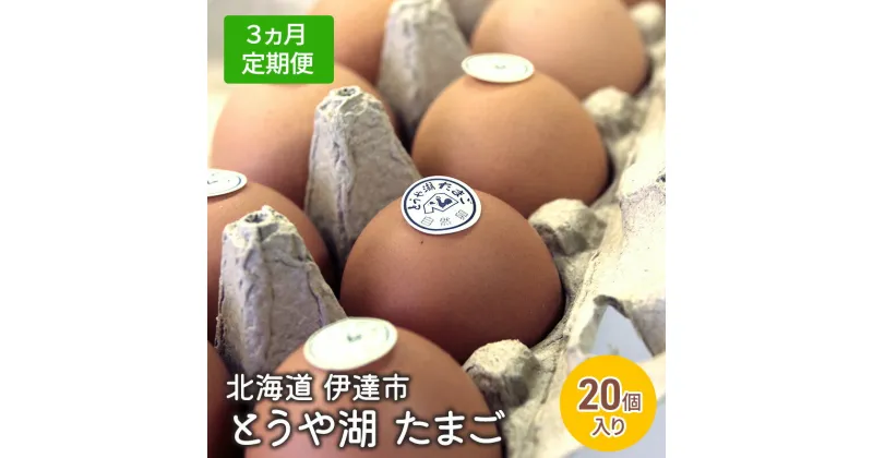 【ふるさと納税】【3ヵ月 定期便】 北海道 伊達市 とうや 卵 20個 入り たまご　定期便・ 鶏卵 食材 グルメ 食卓 エッグ 卵料理 卵かけごはん TKG 万能食材 ご飯のお供 朝食 朝ごはん 夜ごはん 夕飯