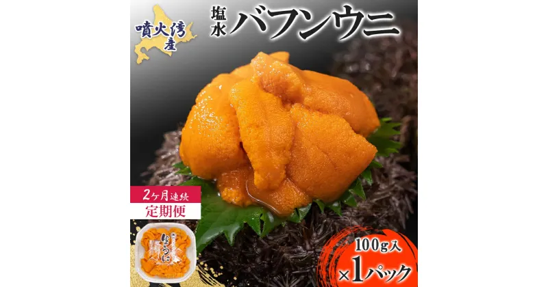 【ふるさと納税】【定期便2カ月】北海道 噴火湾産 塩水 バフンウニ 100g 1パック うに ウニ 雲丹 海鮮 海の幸 魚介類 ウニ丼 お寿司 濃厚 無添加 産地直送 産直 お取り寄せ 山村水産 送料無料　定期便・伊達市