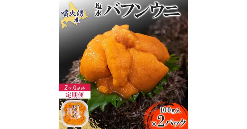 【ふるさと納税】【定期便2カ月】北海道 噴火湾産 塩水 バフンウニ 100g 2パック うに ウニ 雲丹 海鮮 海の幸 魚介類 ウニ丼 お寿司 濃厚 無添加 産地直送 産直 お取り寄せ 山村水産 送料無料　定期便・伊達市