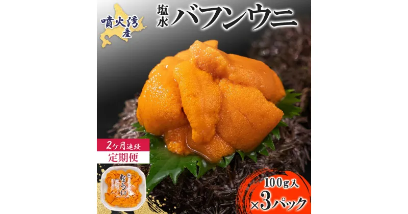 【ふるさと納税】【定期便2カ月】北海道 噴火湾産 塩水 バフンウニ 100g 3パック うに ウニ 雲丹 海鮮 海の幸 魚介類 ウニ丼 お寿司 濃厚 無添加 産地直送 産直 お取り寄せ 山村水産 送料無料　定期便・伊達市