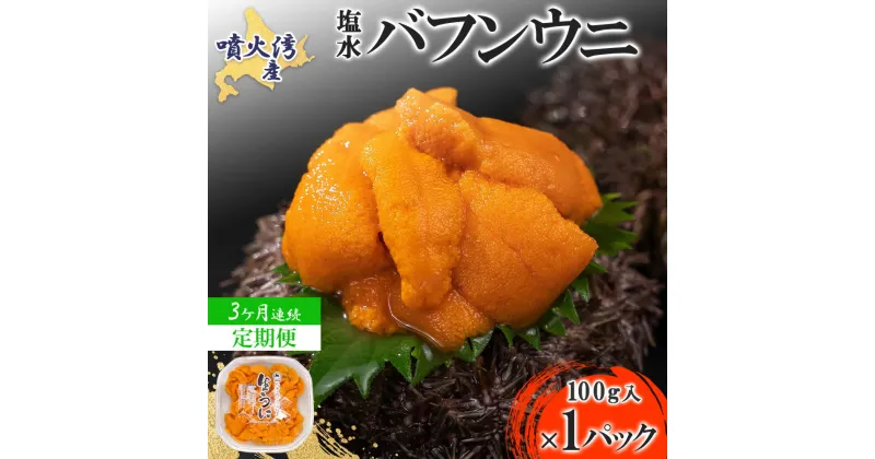 【ふるさと納税】【定期便3カ月】北海道 噴火湾産 塩水 バフンウニ 100g 1パック うに ウニ 雲丹 海鮮 海の幸 魚介類 ウニ丼 お寿司 濃厚 無添加 産地直送 産直 お取り寄せ 山村水産 送料無料　定期便・伊達市