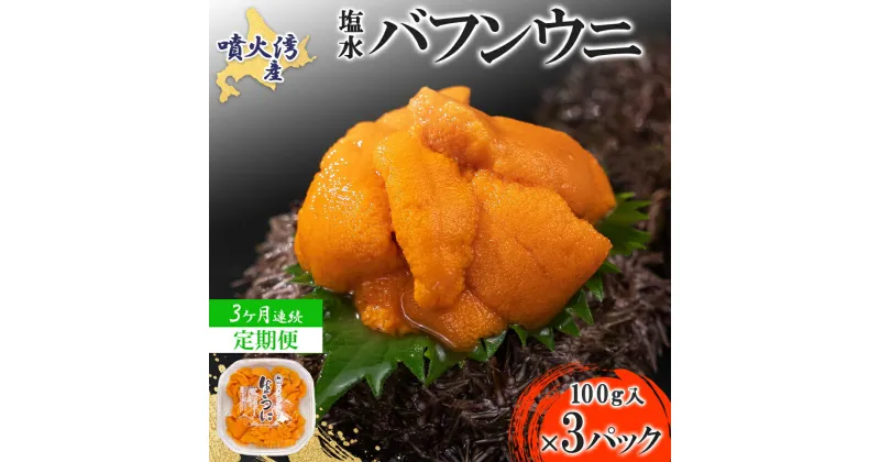 【ふるさと納税】【定期便3カ月】北海道 噴火湾産 塩水 バフンウニ 100g 3パック うに ウニ 雲丹 海鮮 海の幸 魚介類 ウニ丼 お寿司 濃厚 無添加 産地直送 産直 お取り寄せ 山村水産 送料無料　定期便・伊達市