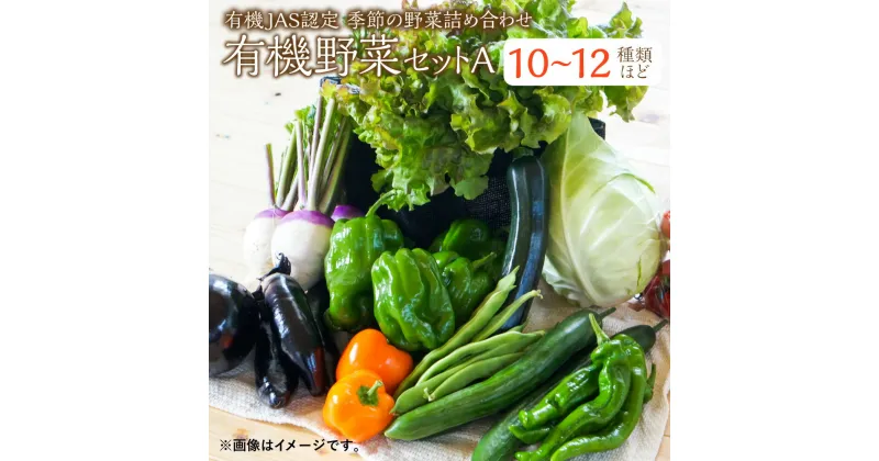 【ふるさと納税】有機JAS認定 季節の野菜詰め合わせ~有機野菜セットA~季節の有機野菜 10～12種類程度 おまかせ 詰め合わせ 農薬化学肥料不使用 朝どれ 新鮮野菜 安心 安全 国産 北海道 北広島市産 冷蔵 送料無料