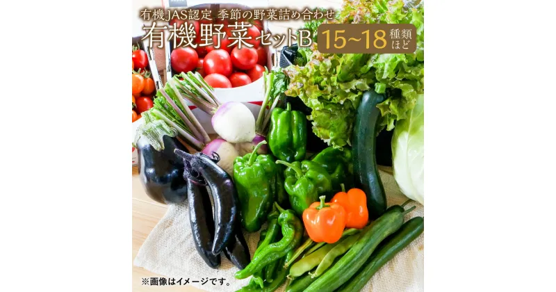 【ふるさと納税】有機JAS認定 季節の野菜詰め合わせ~有機野菜セットB~季節の有機野菜 15～18種類程度 おまかせ 詰め合わせ 農薬化学肥料不使用 朝どれ 新鮮野菜 安心 安全 国産 北海道 北広島市産 春 冷蔵 送料無料