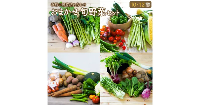 【ふるさと納税】おまかせ 旬 野菜 セット 詰め合わせ 10～12種類程度 やさい 新鮮野菜 安心 安全 国産 旬 北海道 北広島市産 冷蔵 送料無料