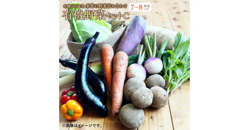 【ふるさと納税】有機JAS認定 季節の野菜詰め合わせ 有機野菜セットC 季節の有機野菜 7種類～8種類程度 おまかせ 詰め合わせ 農薬化学肥料不使用 朝どれ 新鮮野菜 安心 安全 国産 北海道 北広島市産 冷蔵 送料無料