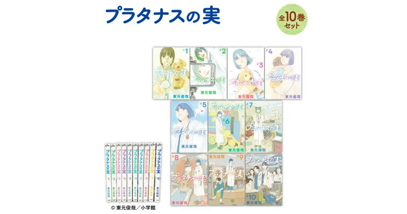 【ふるさと納税】プラタナスの実全10巻セット 漫画 マンガ 小児医療 物語 家族愛 北海道 北広島市 送料無料