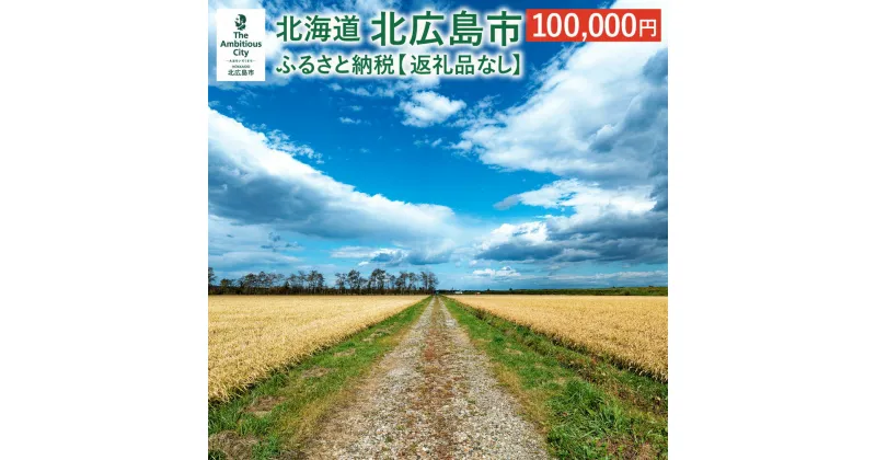 【ふるさと納税】北広島市への寄附（返礼品はありません）100,000円 返礼品なし 北海道 北広島市