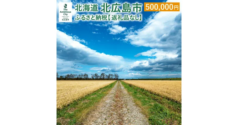 【ふるさと納税】北広島市への寄附（返礼品はありません）500,000円 返礼品なし 北海道 北広島市