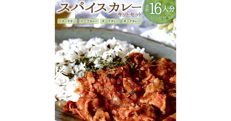 【ふるさと納税】スパイスカレーキット 16人分セット スパイス カレー バターチキンカレー スープカレー キーマカレー ポークカレー 簡単 詰め合わせ セット レシピ付き 時短調理 北海道 北広島市加工 常温 送料無料