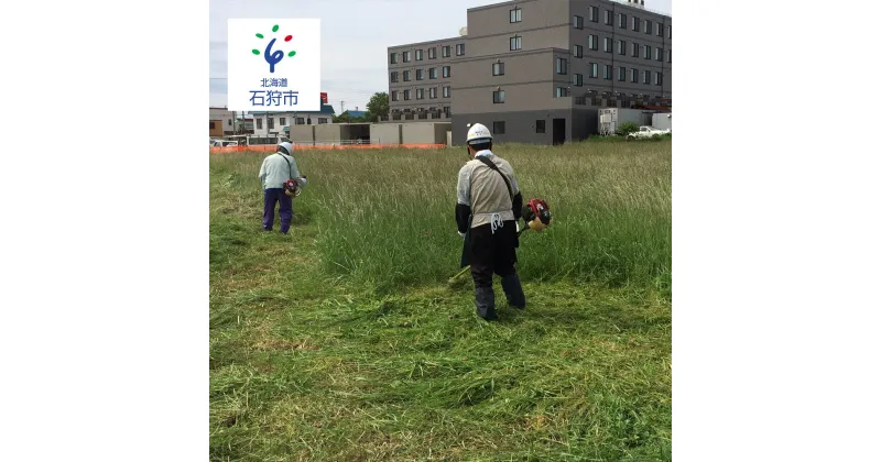 【ふるさと納税】代行サービス 地元 サービス親孝行代行サービス-2（石狩市全域） 石狩市 ふるさと納税 北海道 現状確認代行 クリーニング 帰省 お手入れ 除草 草むしり 草の刈り取り 刈った草の後処理 シルバー人材センターイベントやチケット等 サービス