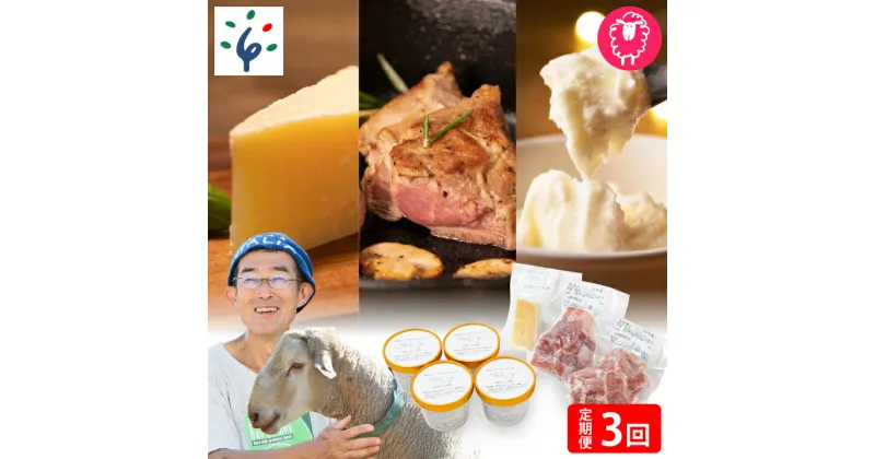 【ふるさと納税】チーズ スイーツ ラム肉【定期便】【年3回】石狩ひつじ牧場「羊乳リコッタジェラート・羊肉・羊乳チーズ」セット石狩市 いしかり 北海道 北海道産 乳製品 羊乳 スイーツ ラム肉 精肉 ジェラートアイス（のし対応可）