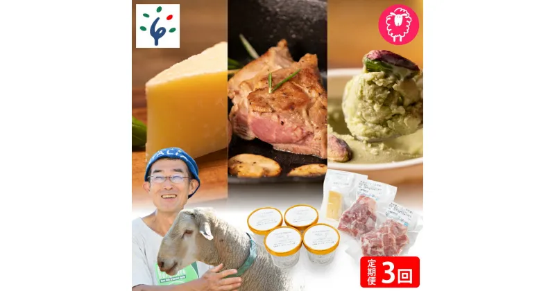 【ふるさと納税】チーズ スイーツ ラム肉【定期便】【年3回】石狩ひつじ牧場「ピスタチオと羊乳フロマージュブランのジェラート・羊肉・羊乳チーズ」セット石狩市 いしかり 北海道産 乳製品 羊乳 スイーツ ラム肉 精肉（のし対応可）