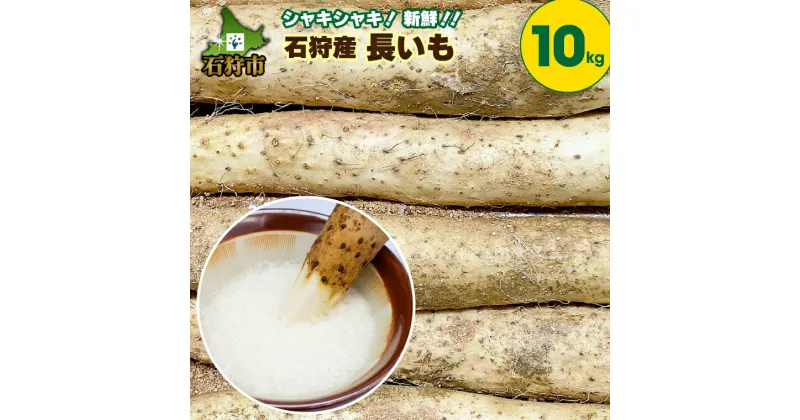 【ふるさと納税】長いも 長芋 野菜【2024年度産：11月中旬発送】石狩産 長いも（10kg）石狩市 いしかり 野菜 北海道 北海道産 10キロ 10kg 一括購入 まとめ買い ストック 買い置き とろろ とろろいも トロロいも ながいも 長芋 ナガイモ 長イモ【NEW】