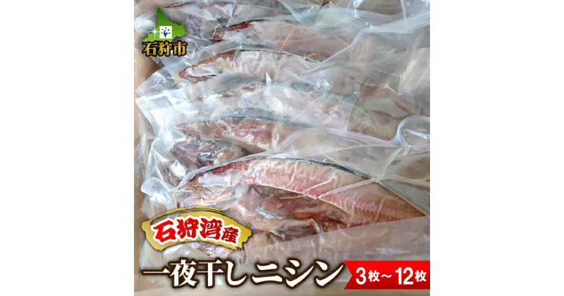 【ふるさと納税】干物 にしん 鰊一夜干しニシン（3枚〜12枚）北海道 石狩市 いしかり 3枚 3人前 にしん 魚 海鮮 干し 一夜干 干物セット 詰め合わせ 詰合せ セット 珍味 魚貝 魚 魚介類 海の幸 石狩湾産 国産 おいしい グルメ 道内産 人気 おいしい