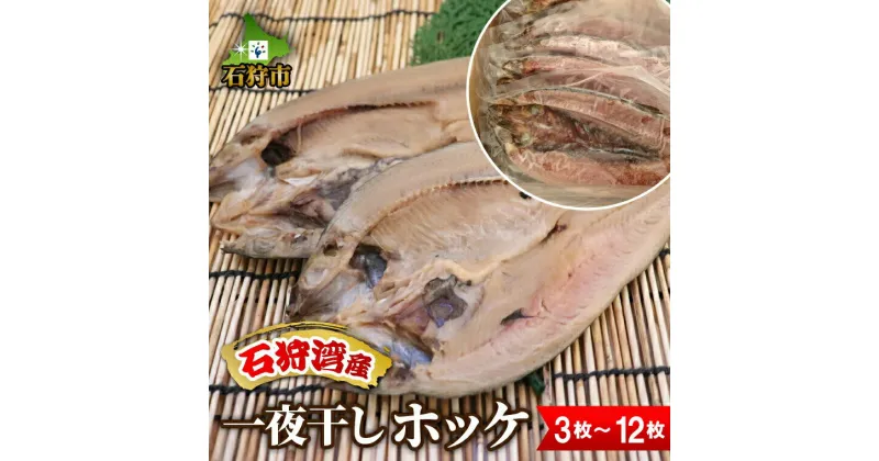 【ふるさと納税】干物 ほっけ ホッケ一夜干しホッケ（3枚〜12枚入り）北海道 石狩市 いしかり 3枚 3人前 6枚 9枚 12枚 ほっけの干物 ホッケの干物 一夜干 干物セット 法華 ほっけの開き ホッケの開き ひらき 魚貝 魚 おいしい グルメ