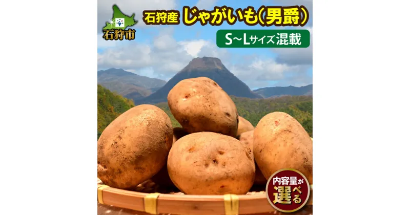 【ふるさと納税】新じゃが 新じゃがいも ジャガイモ【2024年度産：9月〜発送】石狩産じゃがいも(男爵)S〜Lサイズ混載(5kg)(10kg)石狩市 いしかり 北海道 北海道産 野菜 農産物 秋野菜 根菜 新ジャガ 芋 おいも 男爵 人気 品種 イモ 薯（のし対応）【NEW】