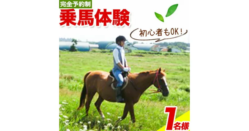 【ふるさと納税】 旅行 石狩ホーストレック 乗馬体験 ＜ 完全予約制 ＞ 乗馬 体験チケット 馬 ホーストレッキング レジャー アクティビティ チケット 観光 観光地応援 予約 体験 チケット 北海道 石狩 石狩ホーストレック