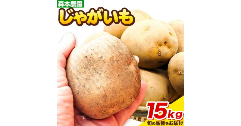 【ふるさと納税】 森本農園 じゃがいも 15kg いも 男爵 キタアカリ とうや メークイン インカのめざめ 野菜 ポテト ポテトチップス じゃがバター フライドポテト カレー シチュー おかず 北海道産 北海道 石狩 森本農園