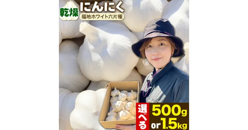 【ふるさと納税】（令和7年先行受付）にんにく（福地ホワイト六片種）500g or 1.5kgにんにく 福地ホワイト 500g 1500g　北海道産 国産 スパイス ガーリック お肉 肉 アヒージョ 便利 普段使い 万能 調味料 焼肉 BBQ