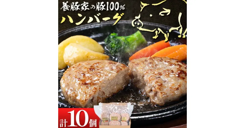 【ふるさと納税】養豚家の豚100％ハンバーグセット 120g2枚入りパック×5セット計10枚 豚肉 肉 厳選 国産 お取り寄せ グルメ おかず おすすめ スマイル ポーク 加工品 惣菜 簡単 冷凍 キャンプ BBQ 浅野農場