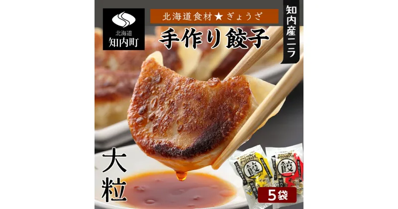 【ふるさと納税】餃子 北海道の食材たっぷり！手作り餃子5袋セット スリーエス知内町 ふるさと納税 北海道グルメ