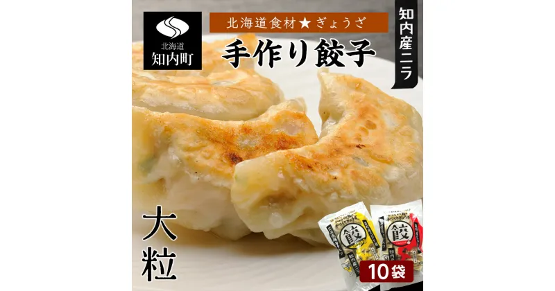 【ふるさと納税】北海道の食材たっぷり！手作り餃子10袋セット＜スリーエス＞ 知内町 ふるさと納税