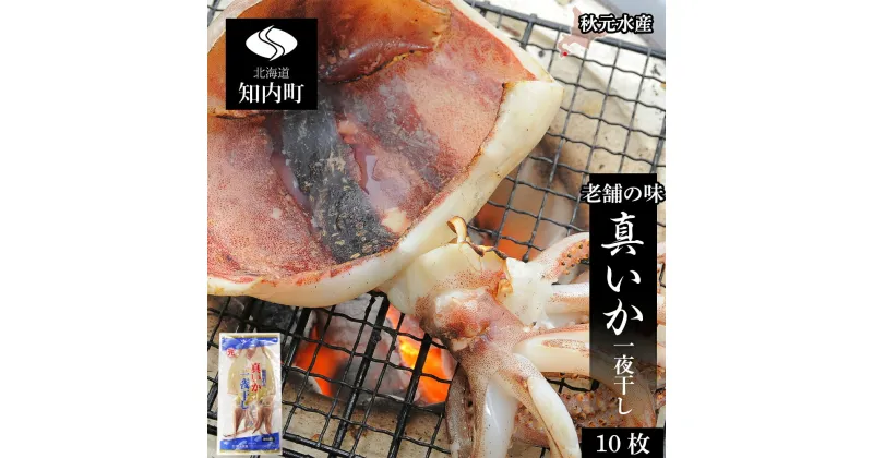 【ふるさと納税】イカ 一夜干し 老舗の味 真いかの一夜干し 2枚入5パックセット＜秋元水産＞いか イカ 真いか 真イカ 一夜干し 北海道産 魚介類 北海道 知内町 ふるさと納税