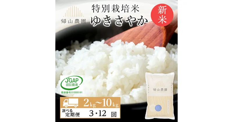 【ふるさと納税】【新米発送】【選べる定期便】お米 定期便 ゆきさやか 2kg～10kg 特別栽培米産地直送《帰山農園》知内町 ふるさと納税 米 こめ 北海道産お米 北海道米 美味しいお米 北海道産米 道産米 ふるさと納税 秋 旬