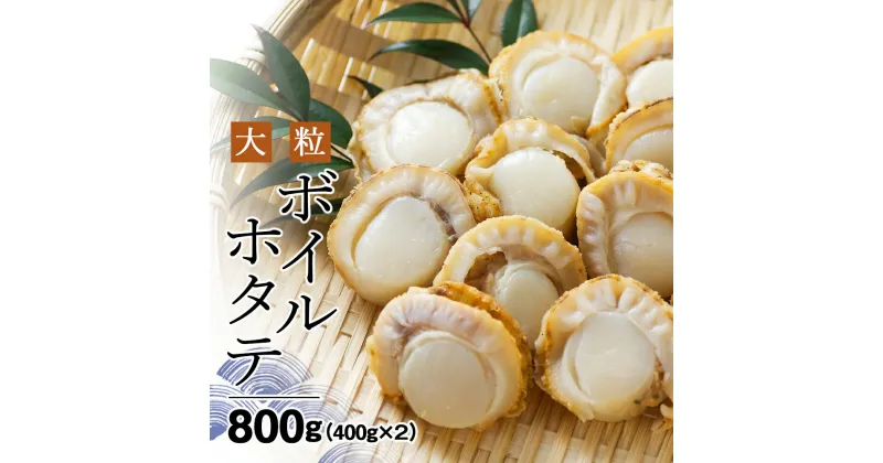 【ふるさと納税】 知内産大粒ボイルホタテ 400g×2袋セット ＜上磯郡漁業協同組合＞ 知内町 ふるさと納税 ほたて 帆立 ボイル ホタテ 帆立 北海道