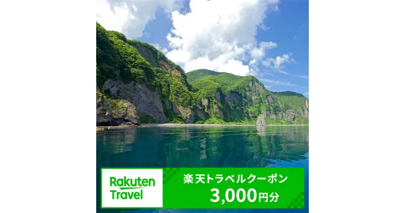 【ふるさと納税】北海道知内町の対象施設で使える楽天トラベルクーポン　寄付額10,000円 体験【RTC001】