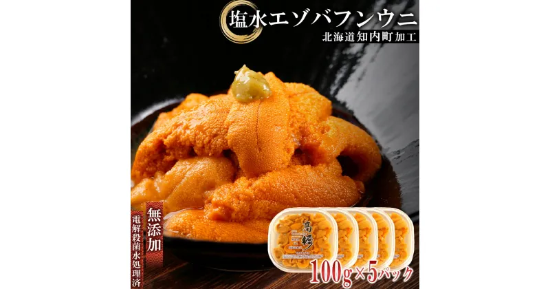 【ふるさと納税】☆知内町加工☆塩水エゾバフンウニ 贅沢100g×5パックセット【マルタカ高橋商店】知内町 ふるさと納税 北海道ふるさと納税 ウニ 北海道 エゾバフンウニ ばふんうに 塩水 生うに うに 雲丹