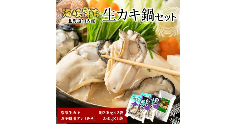 【ふるさと納税】みんなでカキ鍋♪冷凍カキ約200g×2袋＆カキ鍋タレセット＜上磯郡漁業協同組合＞知内町 ふるさと納税 知内町 牡蠣 北海道産カキ 生牡蠣 牡蠣 鍋 かき カキ むき身 北海道産