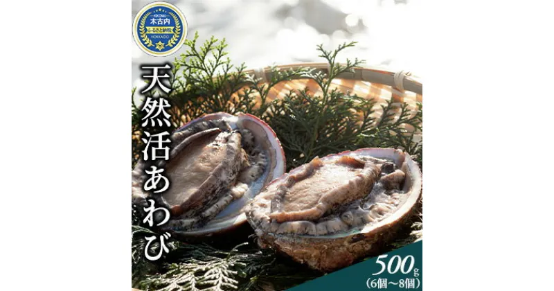 【ふるさと納税】アワビ 天然 活あわび 500g 北海道 鮑 　 あわび 貝 魚介 魚介類 海鮮 お刺身 ステーキ 高級食材 お取り寄せ グルメ 産地直送 酒の肴 　お届け：2024年10月中旬～11月中旬まで