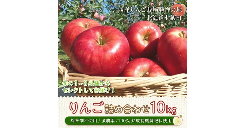 【ふるさと納税】【先行予約】北海道七飯町産 りんご 10kg 有機質肥料使用 北海道七飯町 りんご 減農薬 有機質肥料 健康 オーガニック 美容 NAR003