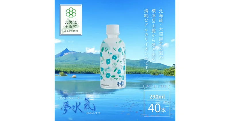 【ふるさと納税】天然アルカリイオン水 軟水 ミネラルウォーター夢水氣（290ml×40本） 天然水 ミネラルウォーター 飲料水 軟水 自然 ペットボトル アルカリイオン 水 みず 飲料水 防災 備蓄 備え NAL002