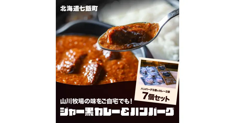 【ふるさと納税】山川牧場育ちのジャー黒カレー&ハンバーグAセット（計7個） お手軽おかず 山川牧場 ジャー黒 ジャージー牛 黒毛和牛 希少 ハンバーグ カレー レトルト おかず 手軽 NAN001