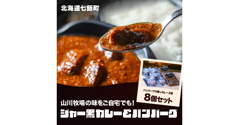 【ふるさと納税】山川牧場育ちのジャー黒カレー&ハンバーグBセット（計8個） お手軽おかず 山川牧場 ジャー黒 ジャージー牛 黒毛和牛 希少 ハンバーグ カレー レトルト おかず 手軽 NAN002