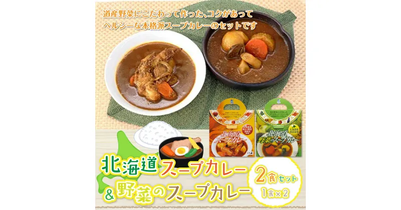 【ふるさと納税】【北海道スープカレー&野菜のスープカレー】2食セット 北海道産帆立・野菜と鶏手羽使用 スープカレー 帆立 ほたて ホタテ 野菜 鶏 手羽 カレーライス 人気 NAO012