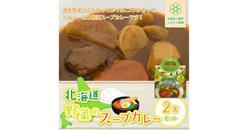 【ふるさと納税】【北海道野菜のスープカレー】2食セット 北海道産野菜使用 スープカレー 野菜 ベジタリアン カレーライス 北海道産 NAO016