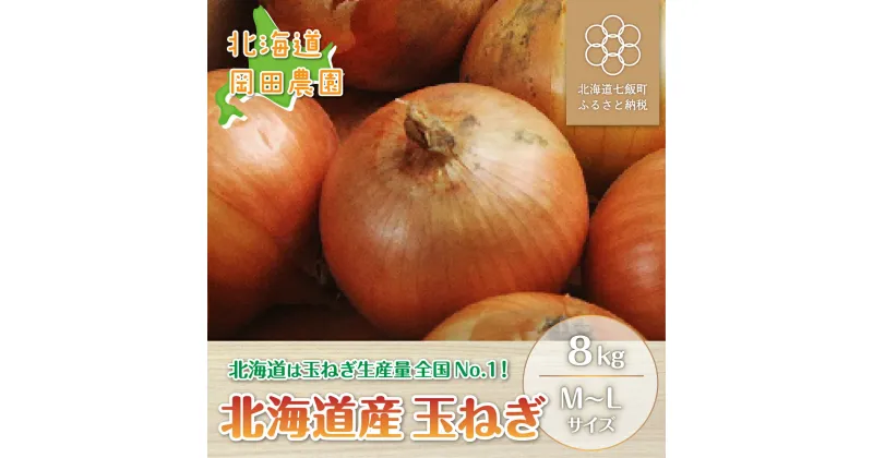 【ふるさと納税】【先行予約】北海道産玉ねぎ8kg お手頃サイズ 甘くておいしい！ ふるさと納税 人気 おすすめ ランキング 玉ねぎ オニオン 岡田農場 北海道産 北海道 七飯町 送料無料 NAZ007