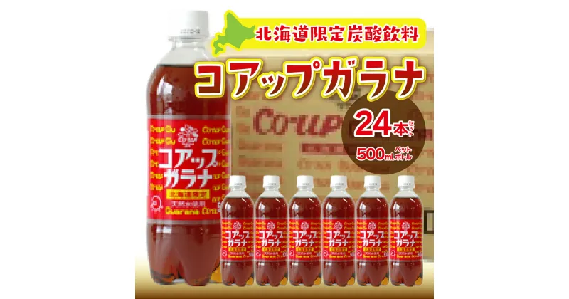 【ふるさと納税】 コアップガラナ24本セット（500mlペットボトル） ふるさと納税 コアップガラナ ガラナ 500ml×24本入 ペットボトル 24本 NAQ003